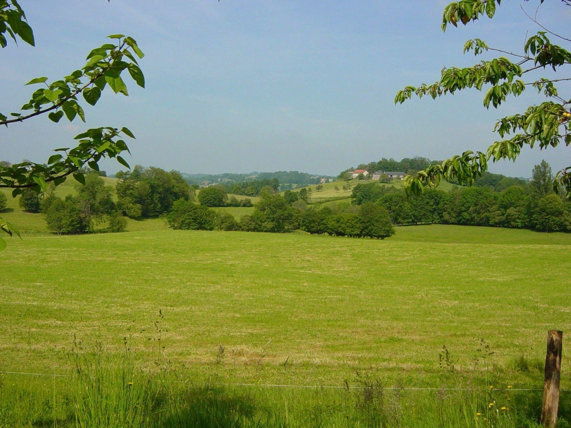 Bed and Breakfast Domaine De La Clauzade Saint-Germain-les-Vergnes Exterior foto