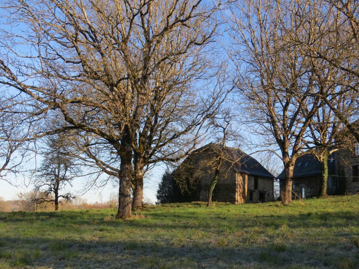 Bed and Breakfast Domaine De La Clauzade Saint-Germain-les-Vergnes Exterior foto